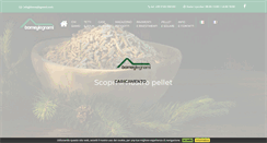 Desktop Screenshot of borneylegnami.com